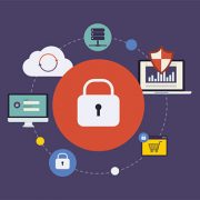 پلاگین چیست؟ معرفی پلاگین های پرمخاطب ورد پرس